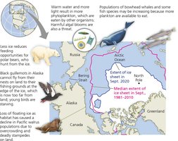 Ecological impact of ice sheets