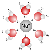 Hydration shell around sodium ion