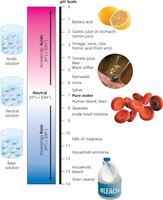 pH scale with common substances