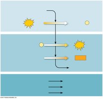 Diagram of glycolysis showing energy investment and payoff phases