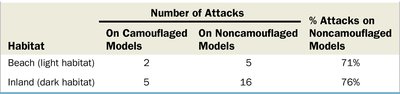 Table showing number of attacks on camouflaged and noncamouflaged models in different habitats