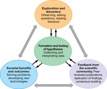 Diagram showing the scientific process and the role of feedback from the scientific community