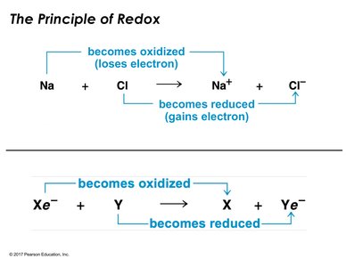 Principle of redox: electron transfer and terminology