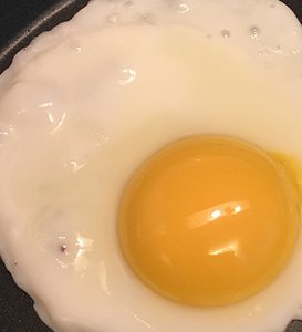 Egg white denatured by heat (cooked)