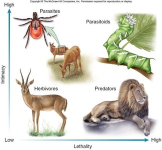 Diagram showing the spectrum of consumer-resource interactions: parasites, parasitoids, herbivores, predators