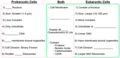 Table comparing prokaryotic and eukaryotic cells