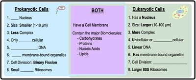 Table comparing prokaryotic and eukaryotic cells
