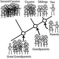 Diagram showing common ancestry in a family tree