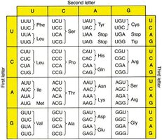 Genetic code table