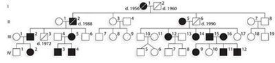 Pedigree chart showing inheritance of a genetic disorder across multiple generations