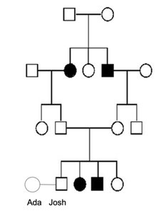 Pedigree chart for Werner's Syndrome showing carrier and affected individuals