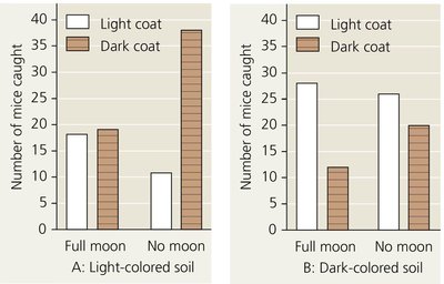 Bar graphs showing number of mice caught by coat color, soil color, and moonlight