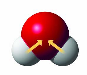Polar covalent bonds in water