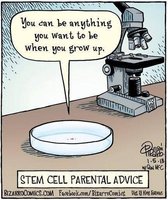 Cartoon: Stem cell parental advice - 'You can be anything you want to be when you grow up.'