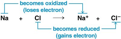 Redox reaction: sodium and chlorine
