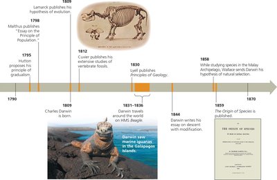 Timeline of key events in the development of evolutionary thought, including Darwin's contributions