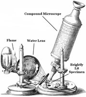 Compound microscope diagram