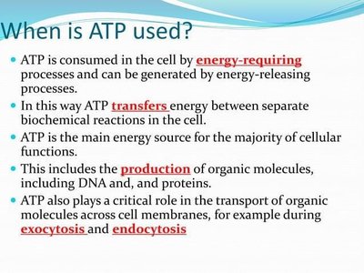 Slide explaining when ATP is used in the cell