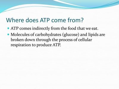 Slide explaining the origin of ATP from food