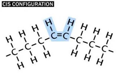 Cis configuration of fatty acids