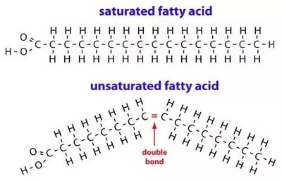 Structural formulas of saturated and unsaturated fatty acids