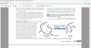 Protein processing post-translation