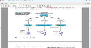 Proto-oncogene and oncogene