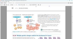 Tumor-suppressor gene mutation