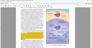 CRISPR-Cas9 mechanism