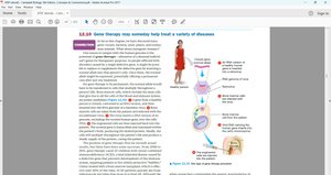 Gene therapy process
