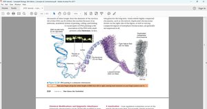 Chromatin structure and gene regulation