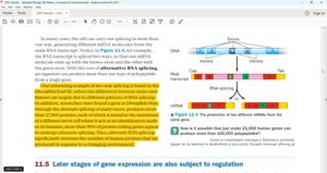 Alternative RNA splicing