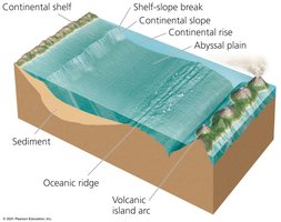 Diagram of ocean floor features