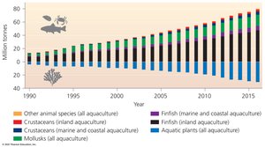 Graph of aquaculture production by species