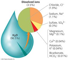 Pie chart of dissolved ions in ocean water