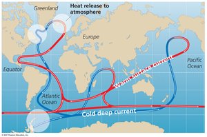 Diagram of thermohaline circulation