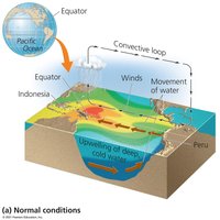 Diagram of normal Pacific upwelling conditions