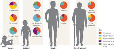 Variation in human gut microbiome at different life stages