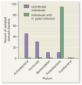 Stomach microbiome composition in uninfected and H. pylori-infected individuals