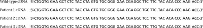 Wild-type and patient cDNA sequences for insulin