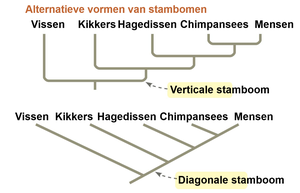 Alternatieve vormen van stambomen: verticaal en diagonaal