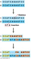DNA-sequentie met inserties en deleties