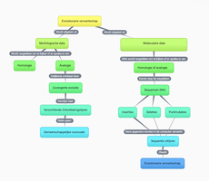 Voorbeeld van een conceptmap over evolutionaire verwantschap