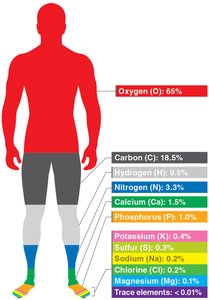 Diagram of an atom showing protons, neutrons, and electrons
