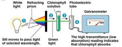 Spectrophotometer setup