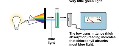 Spectrophotometer with blue light
