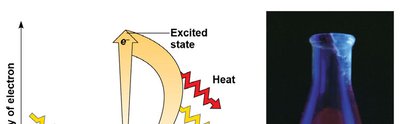 Excitation of chlorophyll and fluorescence