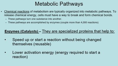 Activation energy diagram