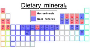 Dietary minerals: macrominerals and trace minerals