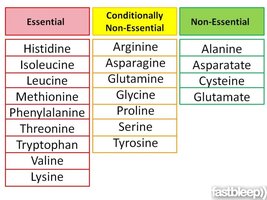 Table of essential, conditionally non-essential, and non-essential amino acids